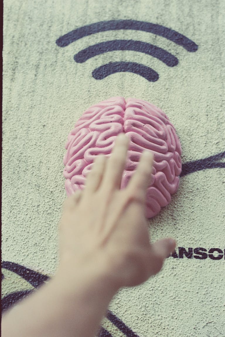 Hand over Brain Model and Wi-Fi Signal Sign on Wall