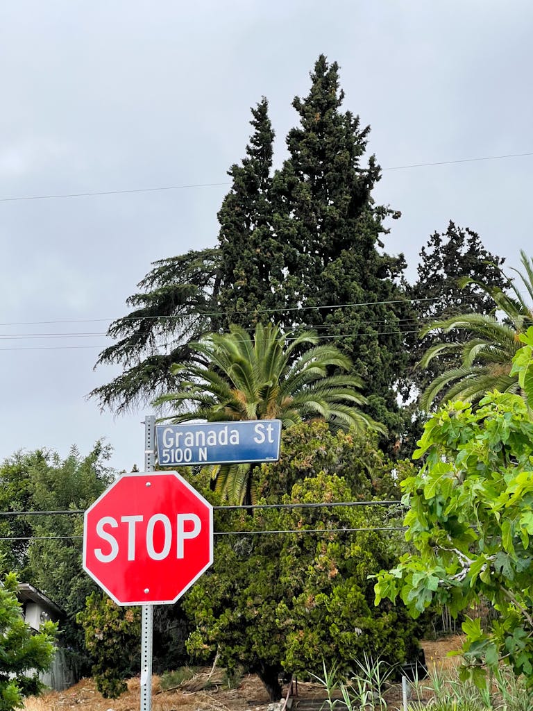 Red signboard with inscription Stop placed on road against green trees under cloudy sky in daytime