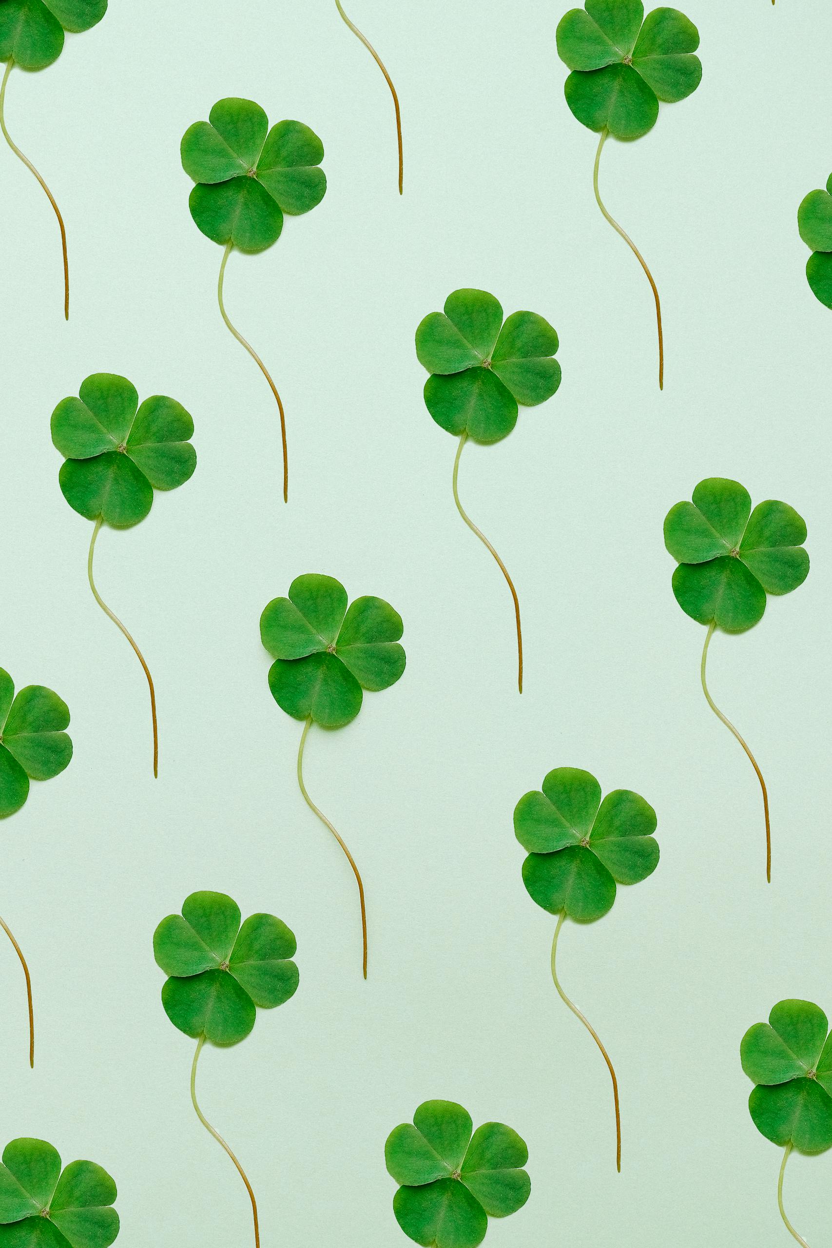 Seamless pattern of green clovers on a light background, perfect for St. Patrick's Day designs.