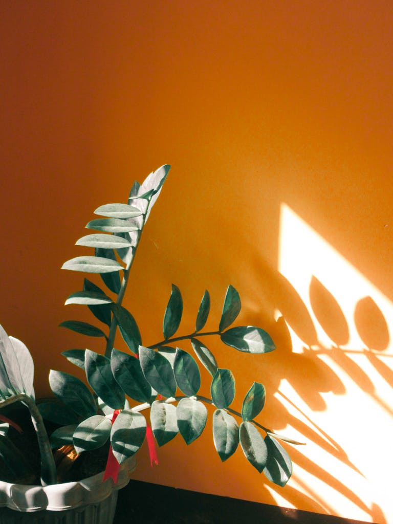 Internal Working Models vs. Attachment Styles: What’s the Difference and Which Predicts Mental Health Better?