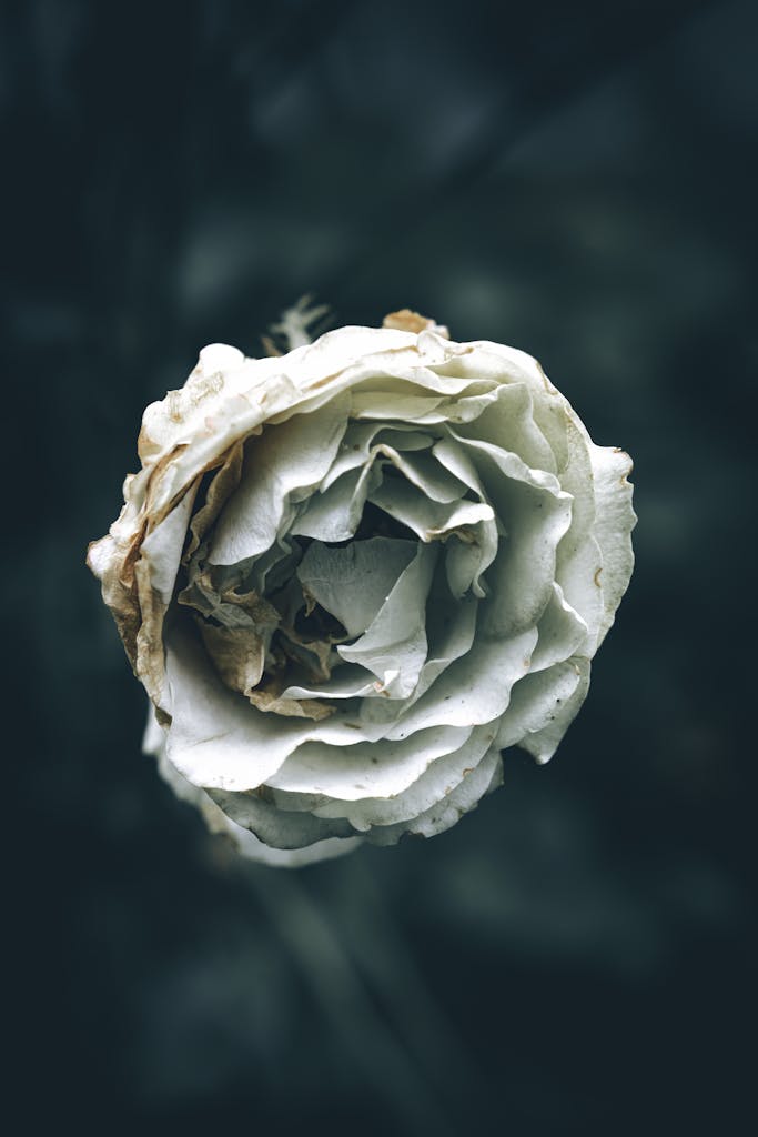 The Psychology of Feeling “Behind” in Life