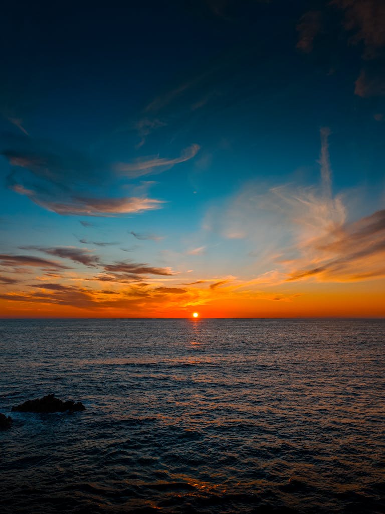 Learned Optimism vs Learned Helplessness: What Psychology Says About Hope