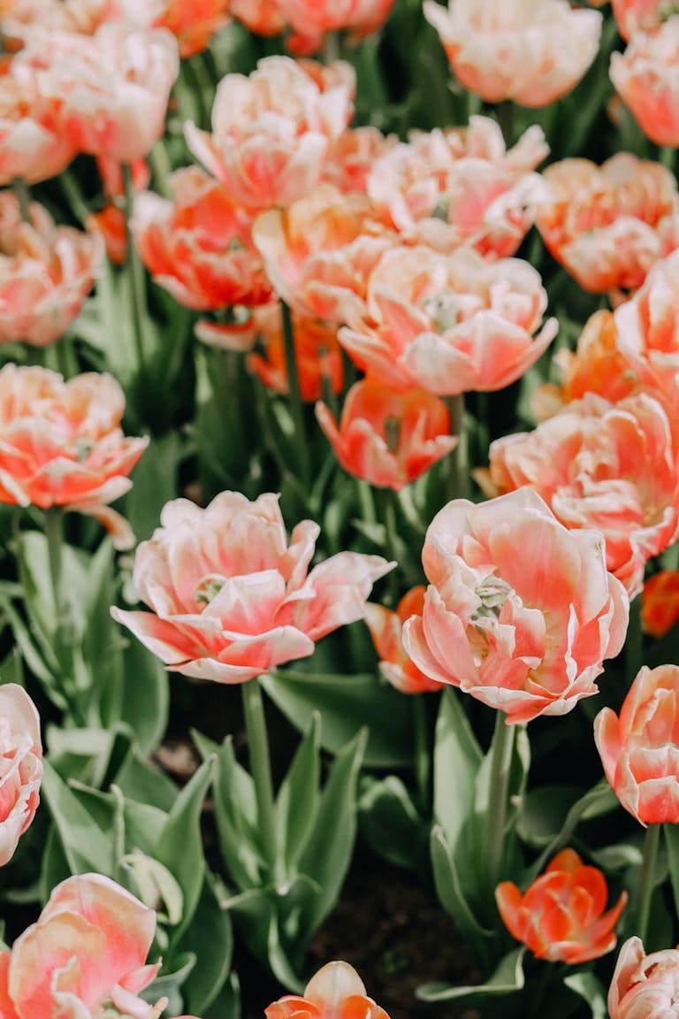 How to Use Cognitive Restructuring: A Step-by-Step CBT Guide for Anxiety