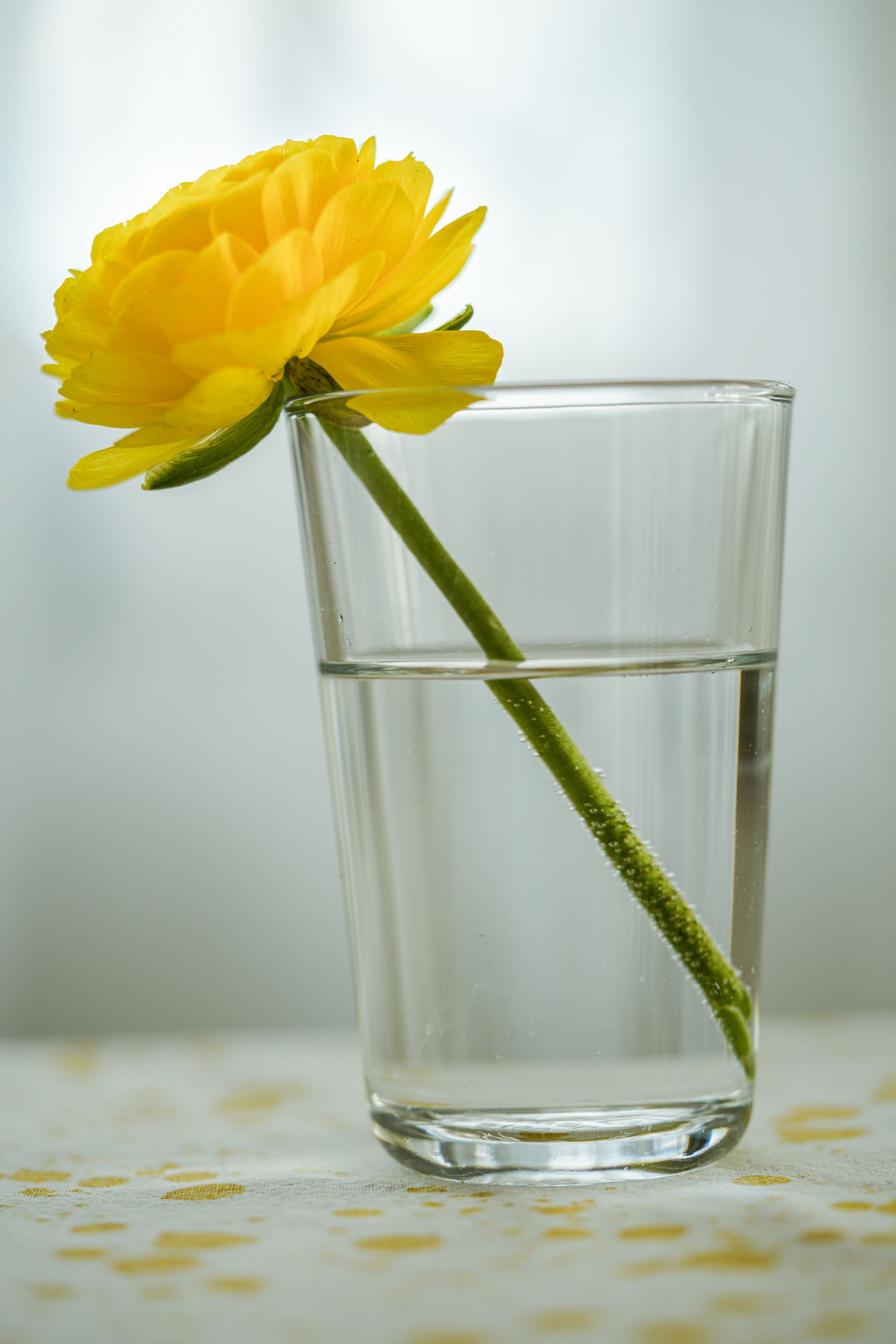 How Therapists Build Emotional Safety With Clients