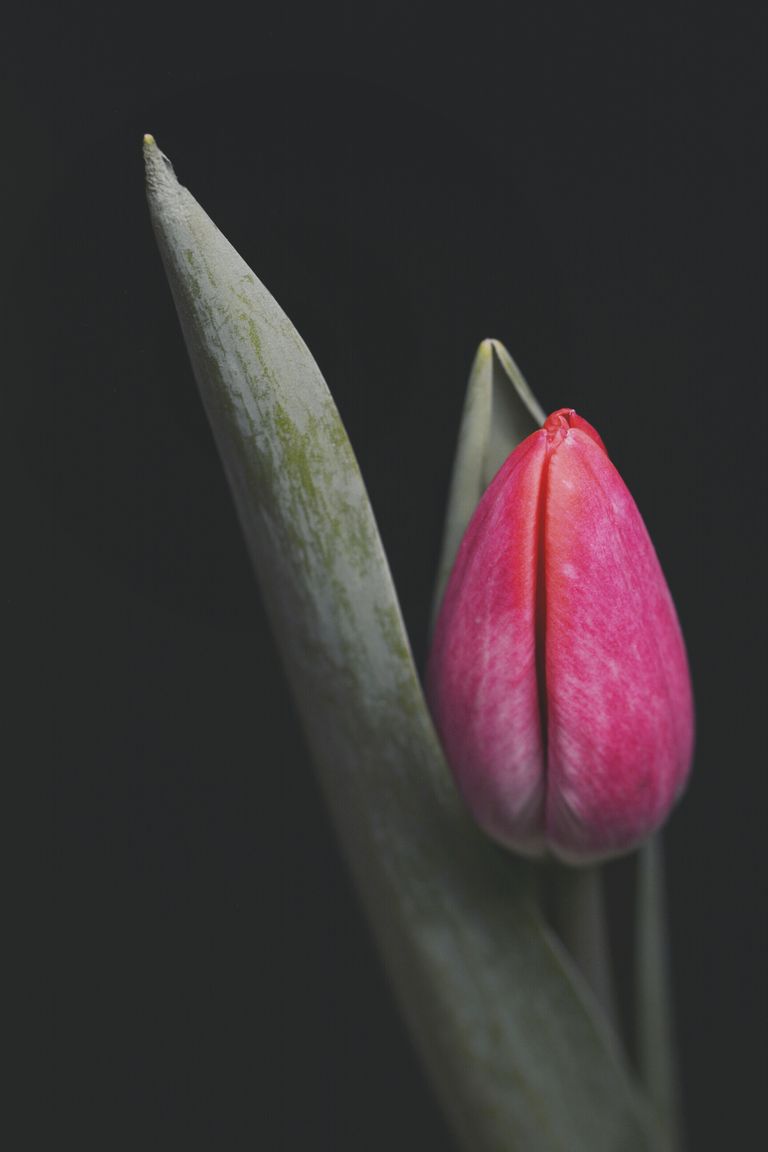 How Tiny Daily Habits Strengthen Psychological Resilience